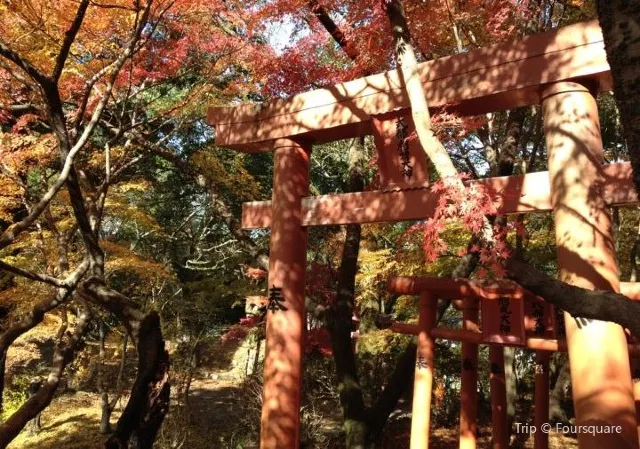 【日本紅葉2020】一葉知秋，8大福岡紅葉景點推介