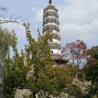 評論圖片 3