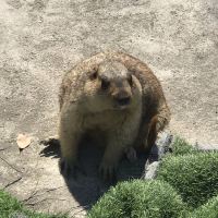 評論圖片 6