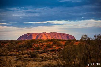 Tali Wiru (Restricted Access)