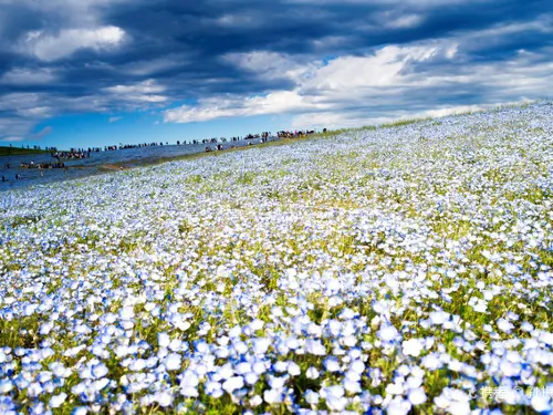 10 Things You Have to do in Ibaraki