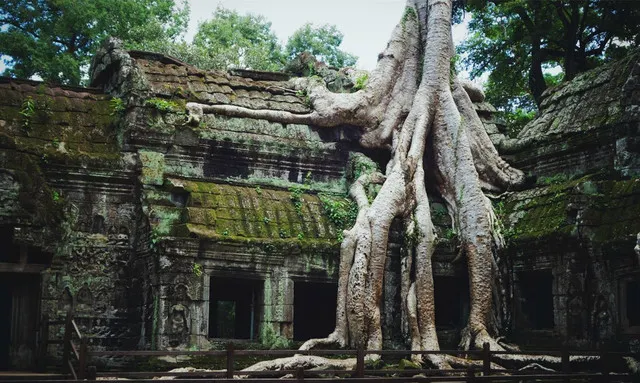 10 Must-see Sights of Siem Reap