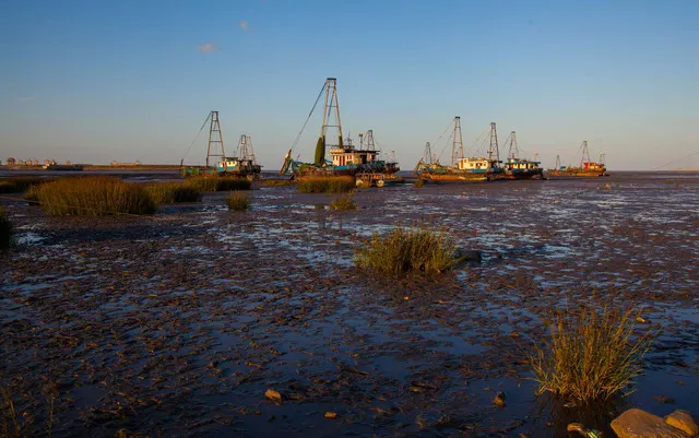 Looking to the Distance, One Can Spot the Beach Treads and Waves, And the Surrounding Area of Nantong is Close to Nature