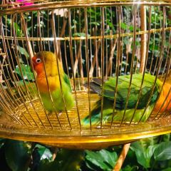 常州富都洲際飯店·龍城咖啡廳自助餐張用戶圖片