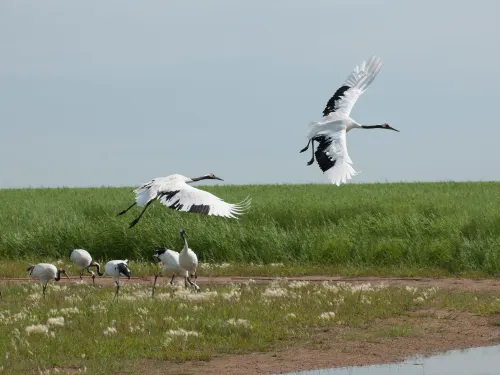 China’s 10 Most Beautiful Wetlands