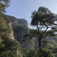 評論圖片 2