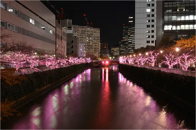 8 Romantic Locations in Tokyo to Visit This Holiday Season