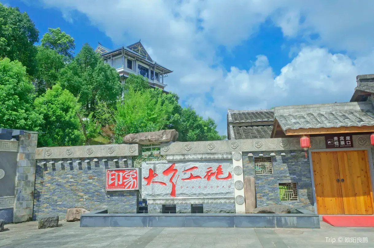 4_Impression Dahongpao