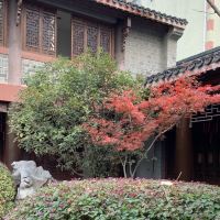 評論圖片 7
