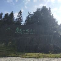 評論圖片 5