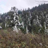 評論圖片 6