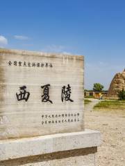 Western Xia Imperial Tombs