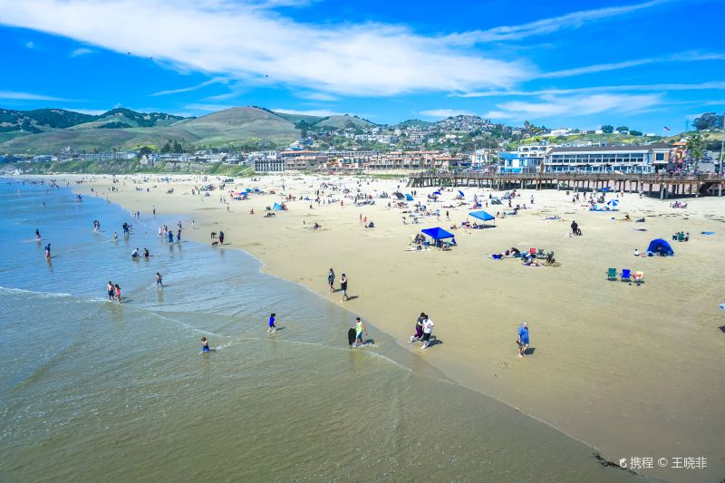 Pismo State Beach