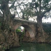 評論圖片 5