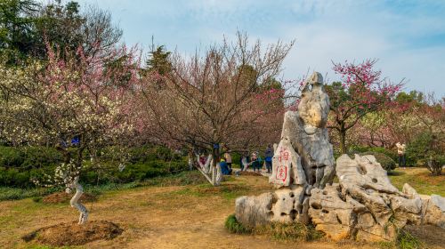 合肥植物園