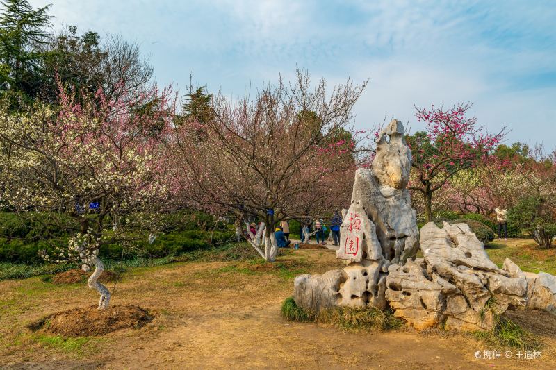 合肥植物園