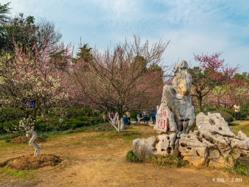 合肥植物園