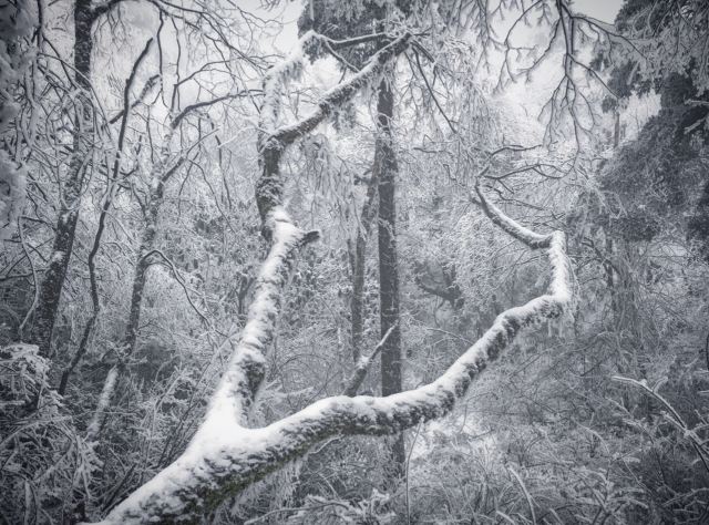 Emei Mountain