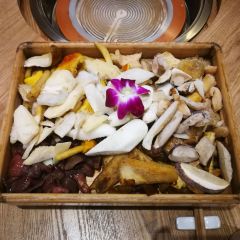A MUSHROOM User Photo