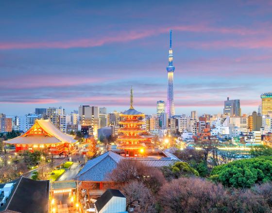 東京 自由行套票