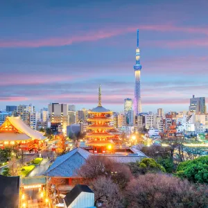 2026年東京+熱海市+伊東市+鎌倉市+箱根9日8夜深度遊行程規劃：暢遊東京+熱海市+伊東市+鎌倉市+箱根熱門景點（更新於5月）