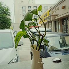 大白菜骨头馆 User Photo