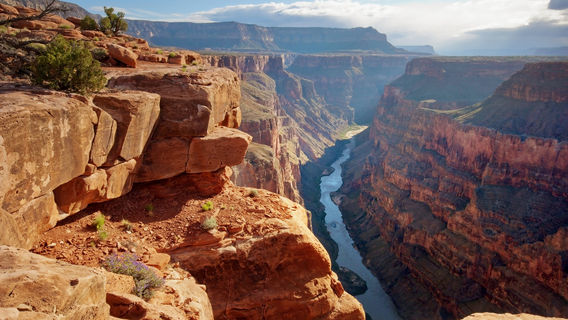 Parc national du Grand Canyon