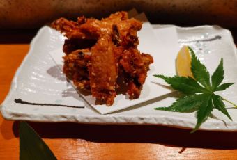 Torigin Honten用戶圖片