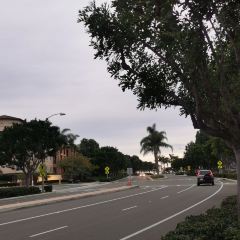 Karl Strauss Brewing Company User Photo