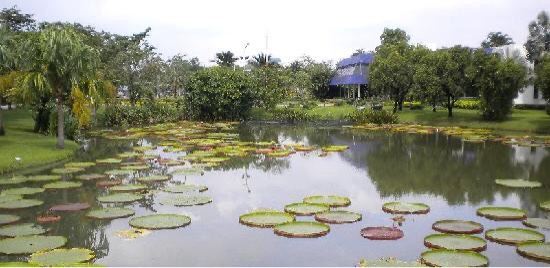 九世王禦園