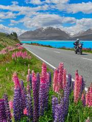 Lake Pukaki