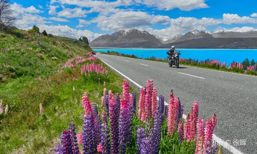 Lake Pukaki