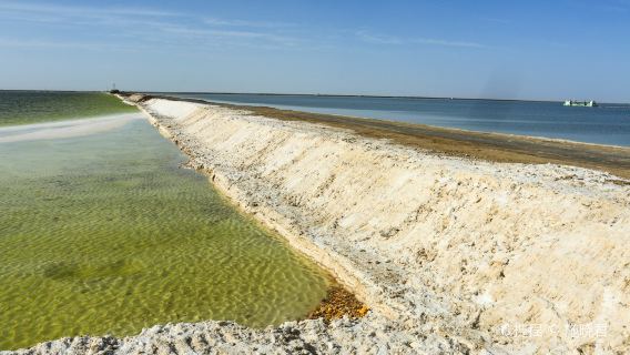 格爾木察爾汗鹽湖一日遊【上門接/2-8人小團/純玩無購物】