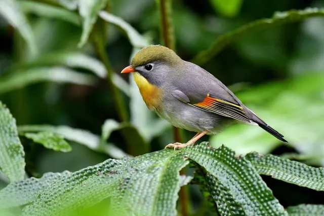 【行山路線推介🌄】2025初級山路盤點: 6條香港初級簡易行山徑，✅靚景✅3小時✅新手
