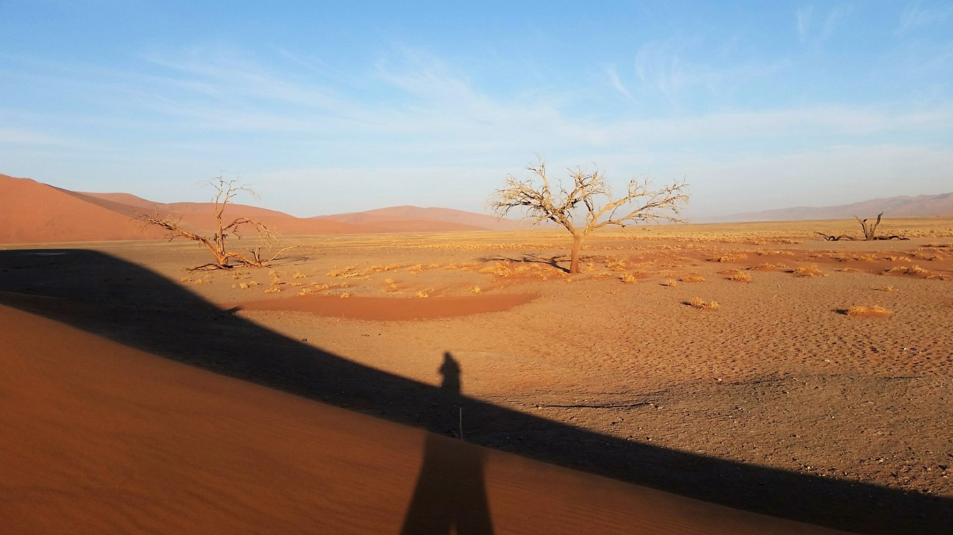 ジャイサルメール Thar Desert 評判 案内 トリップドットコム ジャイサルメール Thar Desert 評判 案内 トリップドットコム