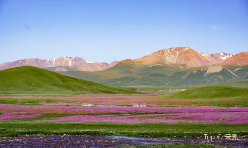 Duku Highway