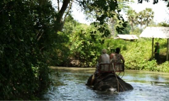 Pattaya Elephant Village