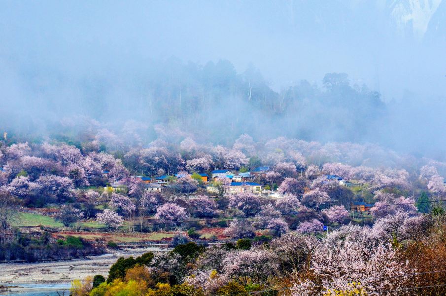 Tiket pesawat Wenzhou Nyingchi