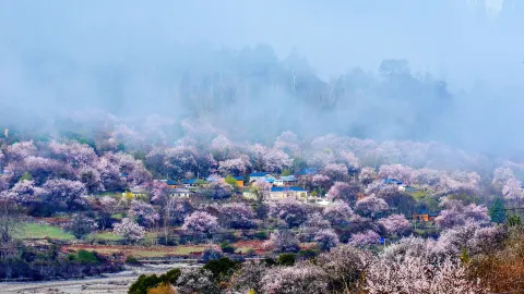 ニンティ travel destination