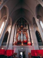 Iglesia de Hallgrímur (Hallgrimskirkja)