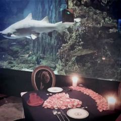 SHARK RESTAURANT User Photo