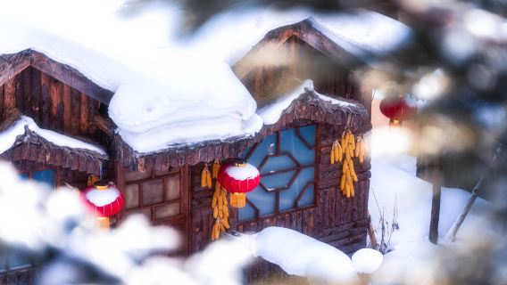 中國雪鄉一日遊【⑥人|15人|大巴團|大禿頂子山+冰雪畫廊