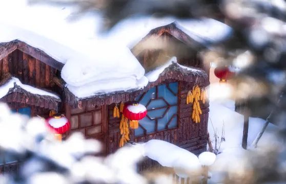 中國雪鄉一日遊【⑥人｜大巴團｜馴鹿園+暢玩冰雪樂園】