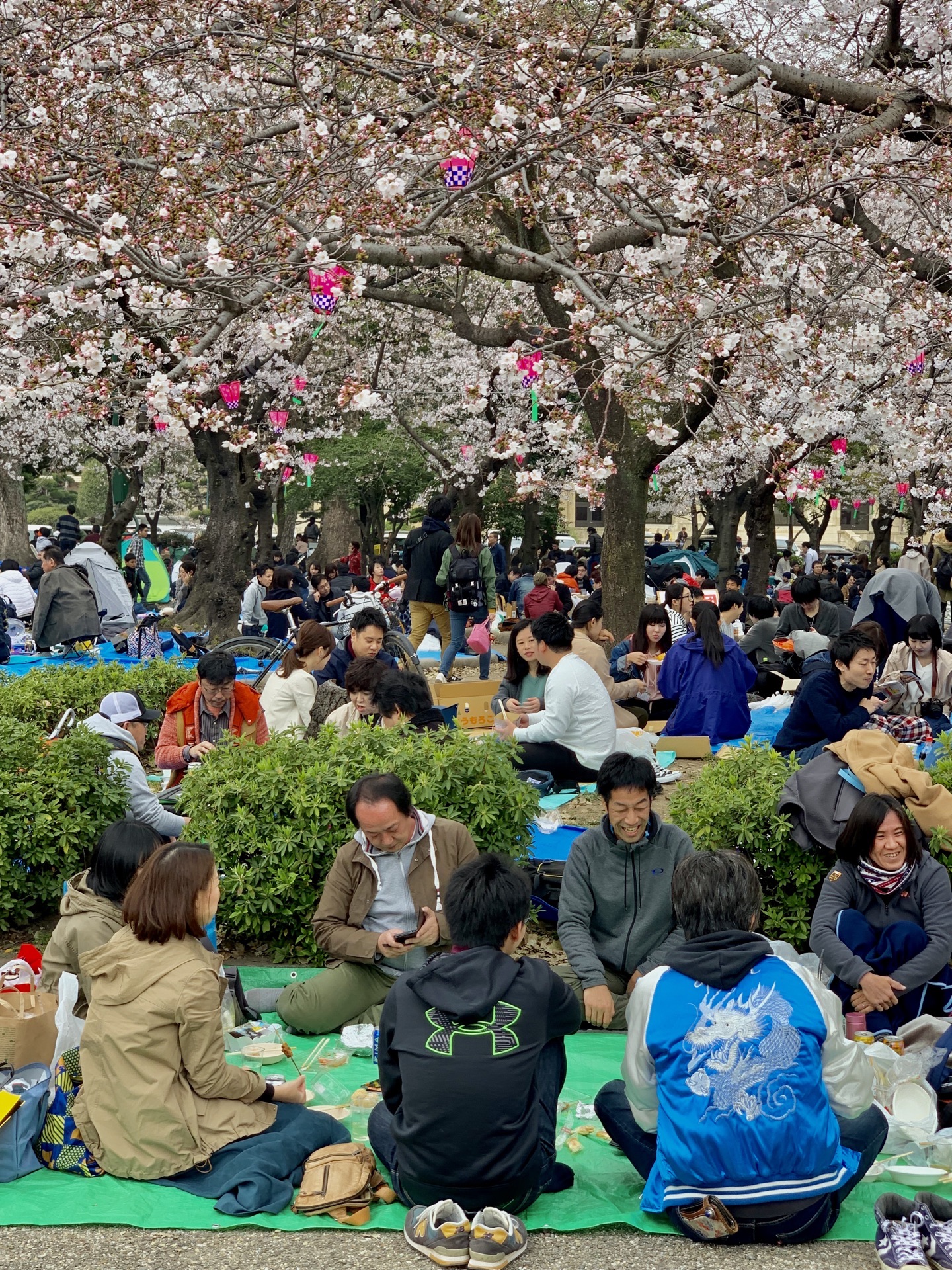 鶴舞公園旅遊攻略指南 鶴舞公園評價 鶴舞公園附近推薦 Trip Com 鶴舞公園旅遊攻略指南 鶴舞公園評價 鶴舞公園附近推薦 Trip Com