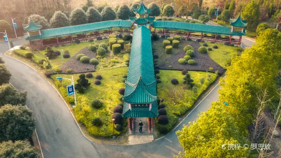 Zhaoyang Park