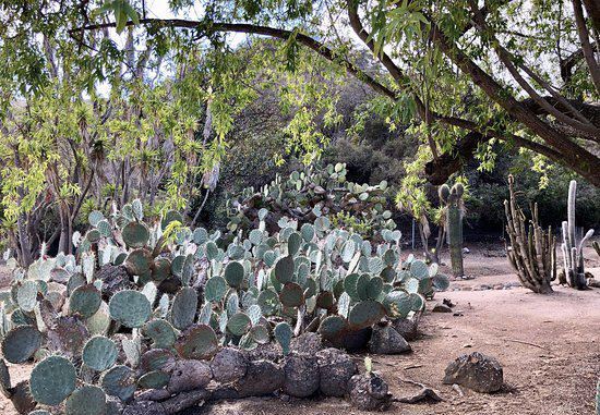 Solstice Canyon