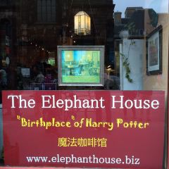 The Elephant House 여행 사진