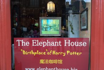 The Elephant House User Photo