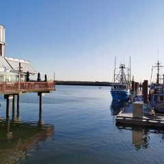 Blue Canoe Waterfront Restaurant 여행 사진