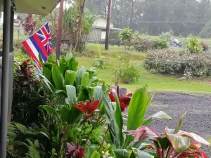Hilo Coffee Mill